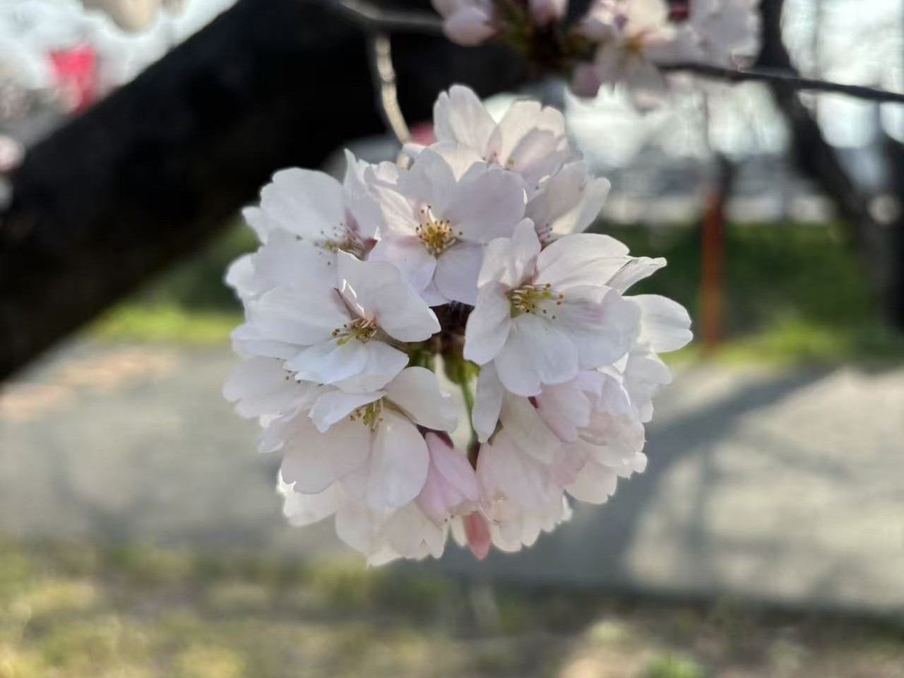 ブログサムネイル画像