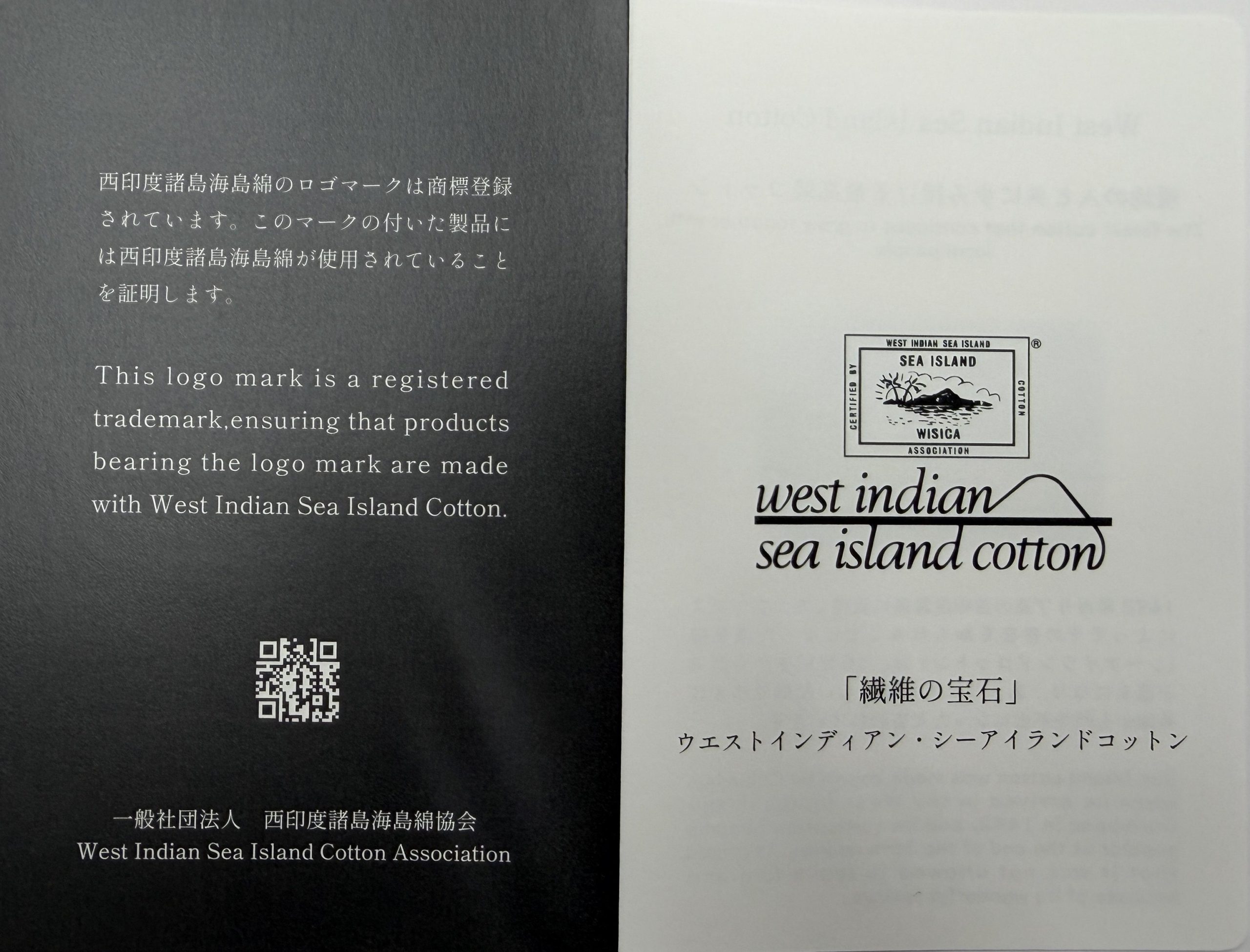 ブログサムネイル画像